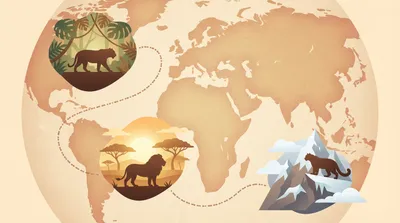 Big cat ranges and habitats