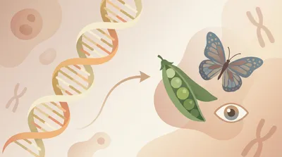 Genetics Basics: Genes To Traits