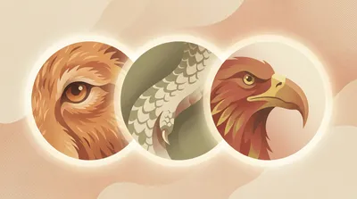 Guess the animal from close-ups